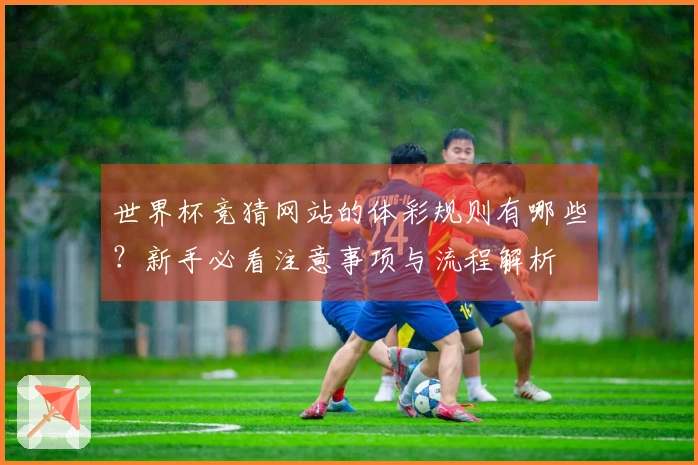 世界杯竞猜网站的体彩规则有哪些？新手必看注意事项与流程解析